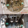 BioOne Before & After 30 Days