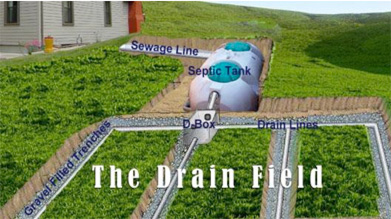 drain field septic system