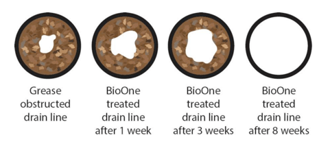 typical household pipe bioone treated